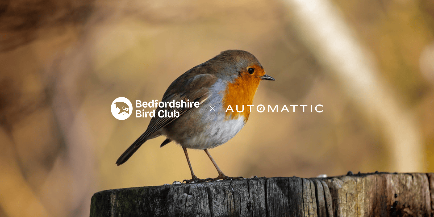 How Bedfordshire Bird Club Flies High